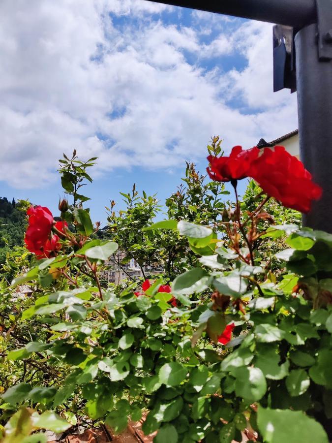 Tra Sole & Mare Apartment Zoagli Bagian luar foto