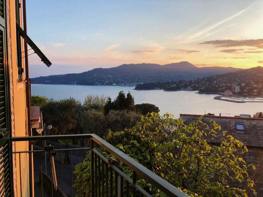 Tra Sole & Mare Apartment Zoagli Bagian luar foto